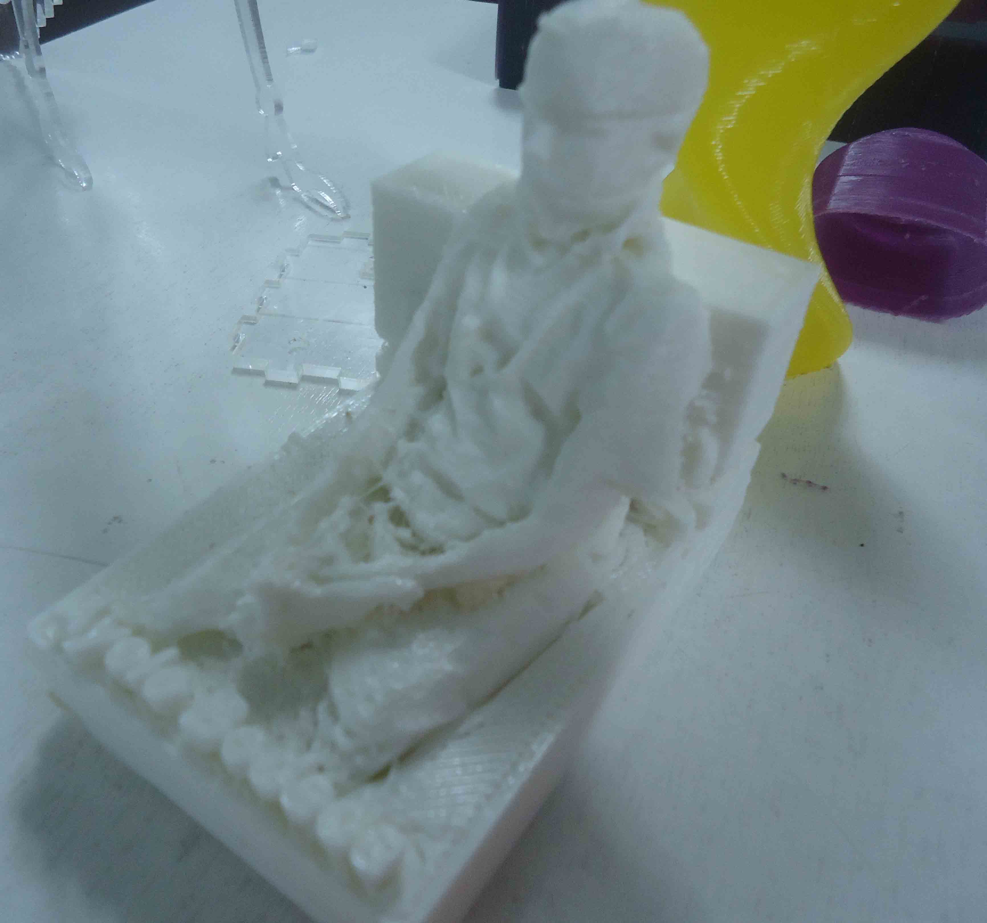 picture 3d scanned and printed